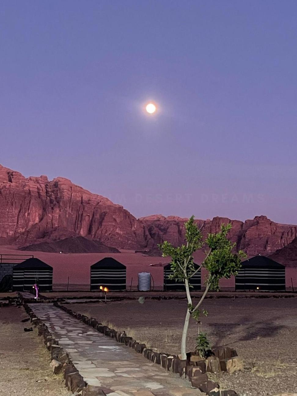 Hotel Wadi Rum Desert Nights Exterior foto